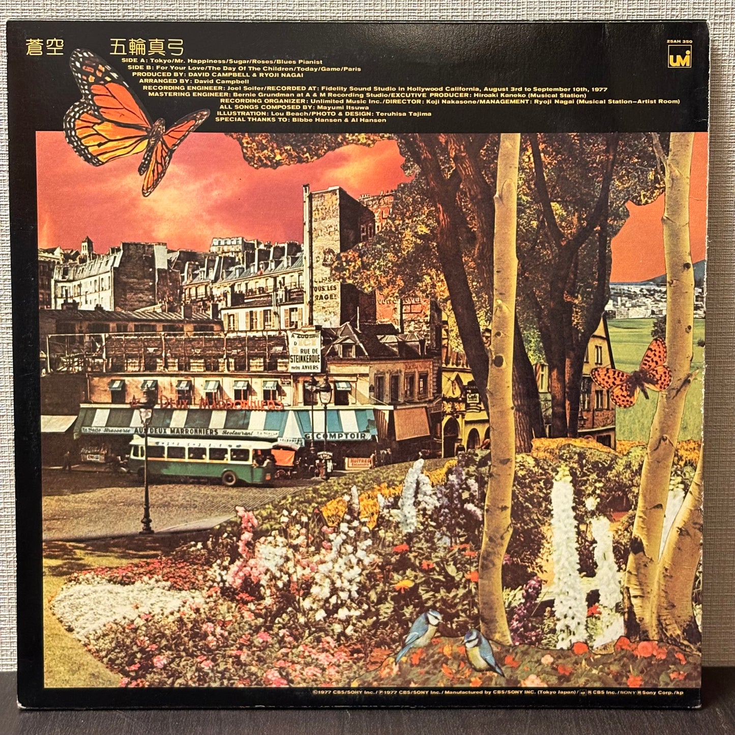 五輪真弓 Mayumi Itsuwa - 蒼空 Today